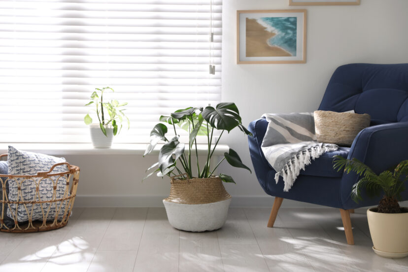 lowe's home improvement blinds