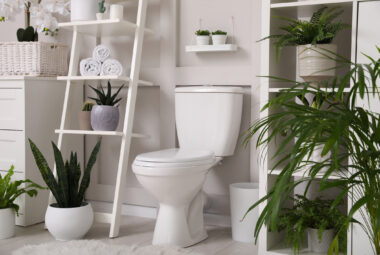 lowe's home improvement toilets